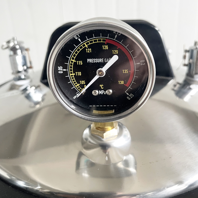 WYX-LM Portable Pressure Steam Autoclave
