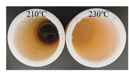 Comparison of Digestion Results at Different Temperatures