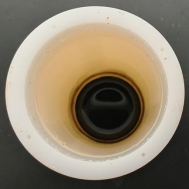 Digestion Result with Increased Sample Mass